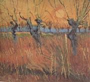 Vincent Van Gogh Willows at Sunset (nn04) USA oil painting reproduction